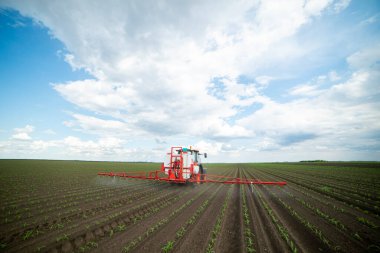 Traktör tarlada böcek ilacı kimyasallarıyla gübreleme yapıyor. 