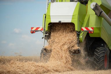 Bir çiftlikte hasatçı hasadı olgunlaşmış buğdayı birleştirin