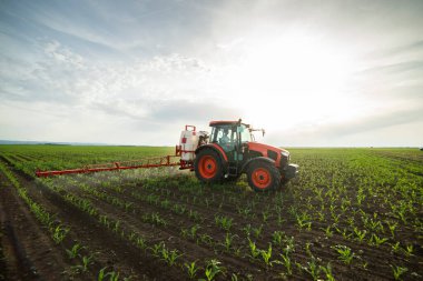 Traktör tarlada böcek ilacı kimyasallarıyla gübreleme yapıyor. 