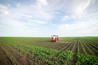 Traktör tarlada böcek ilacı kimyasallarıyla gübreleme yapıyor. 