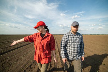 Genç çiftçiler baharda ekilen mısırları inceliyor.