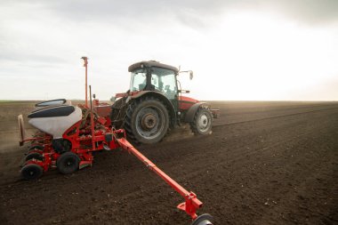 Traktör tohumu olan çiftçi - ilkbaharda tarım tarlalarına ekin ekiyor.
