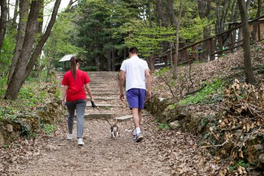 Genç bir kız ve bir oğlan baharda av köpekleriyle ormanda yürüyorlar.