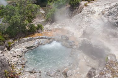 Azores takımadalarında Sao Miguel Adası 'nda Furnas Fumarolas
