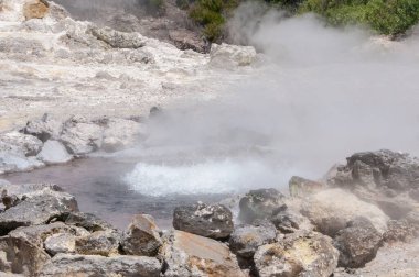 Azores takımadalarında Sao Miguel Adası 'nda Furnas Fumarolas