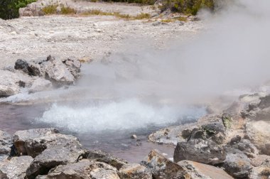 Azores takımadalarında Sao Miguel Adası 'nda Furnas Fumarolas