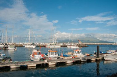 Horta şehrinin Marina 'sı, Faial Adası, Azores