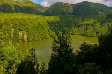 Portekiz 'deki tipik Azores takımadaları.