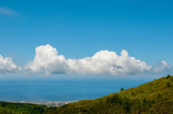 Деталь Типового Ландшафту Архіпелазі Азорських Островів Португалія — стокове фото
