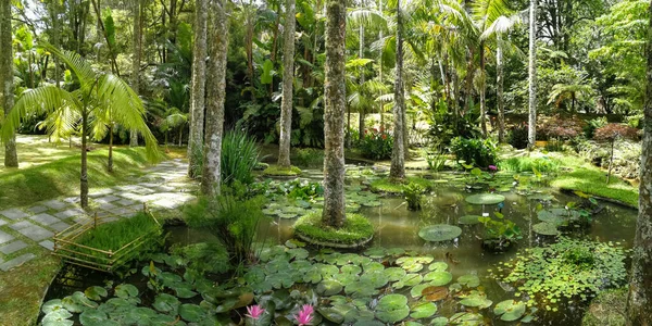 アゾレスのテラノストラパークは 植物や木の多種多様で 火山起源のプールを持つ大きな植物園です — ストック写真