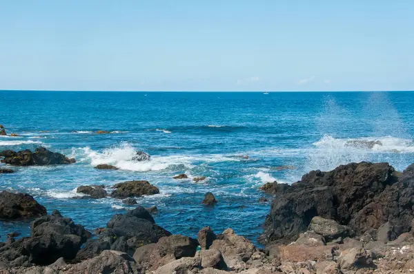 Landscape Pico Island Azores — Stock Photo, Image
