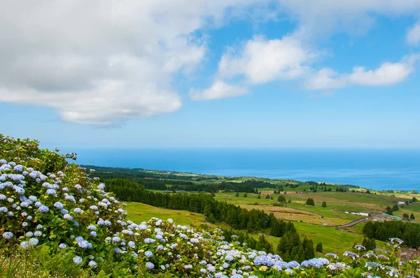Portekiz 'deki Azores takımadasındaki So Miguel adasının tipik manzarası.