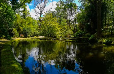 Azores 'deki Terra Nostra Parkı büyük bir botanik bahçesidir. Çok çeşitli bitki ve ağaçlar, göller, dereler ve volkanik kaynaklı bir havuz vardır..