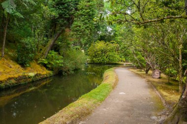 Azores 'deki Terra Nostra Parkı büyük bir botanik bahçesidir. Çok çeşitli bitki ve ağaçlar, göller, dereler ve volkanik kaynaklı bir havuz vardır..
