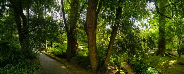 Azores 'deki Terra Nostra Parkı büyük bir botanik bahçesidir. Çok çeşitli bitki ve ağaçlar, göller, dereler ve volkanik kaynaklı bir havuz vardır..