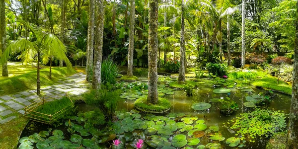 stock image Terra Nostra Park in the Azores is a large botanical garden with a huge variety of plants and trees and with lakes, streams and a pool of volcanic origin.