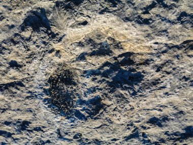 Portekiz, Pedreira do Galinha 'daki Serra D' Aire 'deki fosil dinozor ayak izlerinin doğal anıtı. Ziyaretçilerin ayak izlerini görebildiği ve dokunabildiği yerde bir pedagojik devre oluşturuldu.