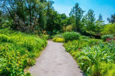 Birmingham Botanik Bahçeleri 'nin detayları.