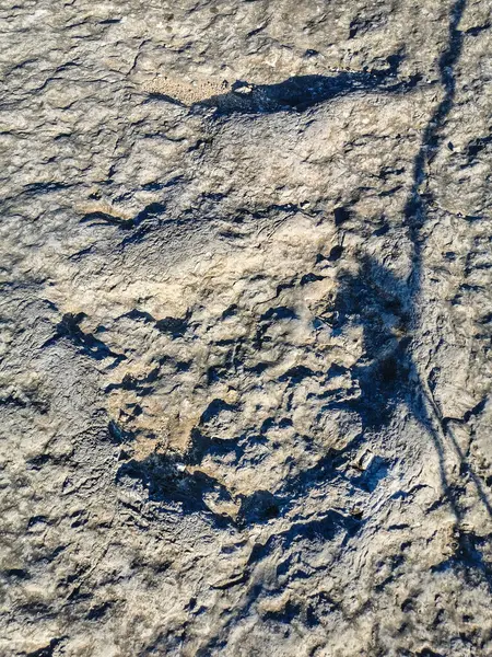 Natuurmonument Van Fossiele Dinosaurus Voetafdrukken Serra Aire Pedreira Galinha Portugal — Stockfoto