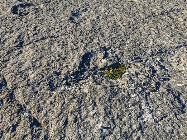 ポルトガルのペデレイラ ガリンハにあるセラ アイルの化石恐竜の足跡の天然記念碑 訪問者が足跡を見たり触れることができるサイトで教育回路が作成されました — ストック写真