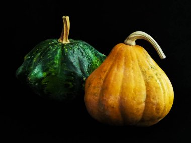 Farklı şekil ve renklerde dekoratif balkabakları