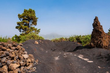 La Palma adasındaki Cumbre Vieja volkanından katılaşmış volkanik lav akıntısı