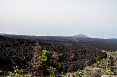 La Palma adasındaki Cumbre Vieja volkanından katılaşmış volkanik lav akıntısı