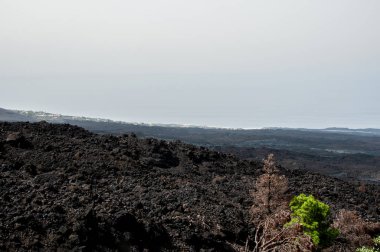 La Palma adasındaki Cumbre Vieja volkanından katılaşmış volkanik lav akıntısı