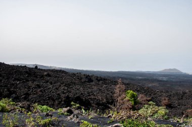 La Palma adasındaki Cumbre Vieja volkanından katılaşmış volkanik lav akıntısı