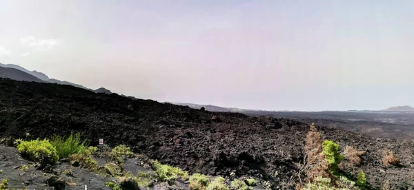 拉帕尔马岛上Cumbre Vieja火山的凝固火山熔岩流 — 图库照片