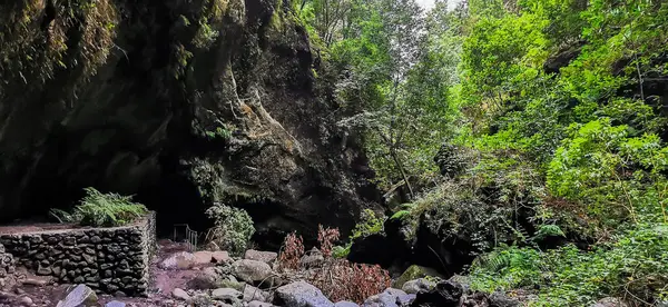 Forêt Los Tilos Sur Île Palma Lieu Une Beauté Indescriptible — Photo