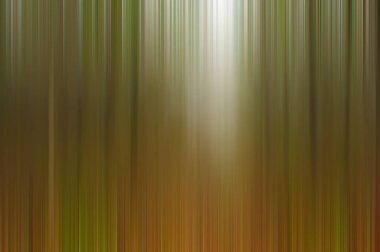 Kasıtlı Kamera Hareketi Ağaçlı manzara