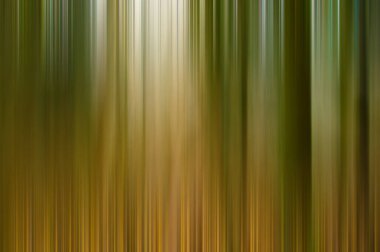 Kasıtlı Kamera Hareketi Ağaçlı manzara