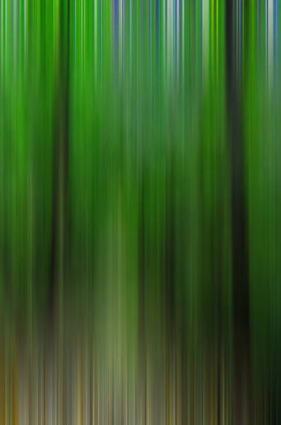 Absichtsvolle Kamera Bewegungslandschaft Mit Bäumen — Stockfoto