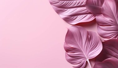 Narin ve minimalist arka plan, geniş pembe yapraklarla. Metin için boş alan