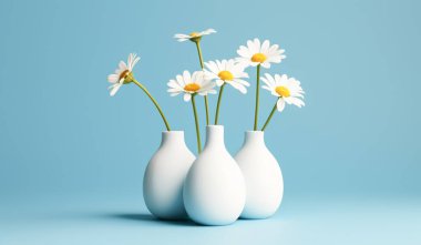 Gök mavisi arka planda bir papatya dalı. Minimalist kavram