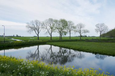 Hollanda 'da tipik kanal manzarası