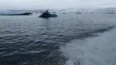 Jokulsarlon, İzlanda'daki buzul Gölü buzdağları