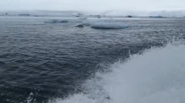Jokulsarlon, İzlanda'daki buzul Gölü buzdağları