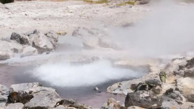 Azores takımadalarında Sao Miguel Adası 'nda Furnas Fumarolas
