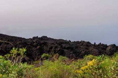 Kanarya Adaları 'ndaki La Palma adasındaki volkanik manzara