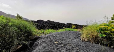 La Palma adasındaki Cumbre Vieja volkanından katılaşmış volkanik lav akıntısı