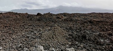 La Palma adasındaki Cumbre Vieja volkanından katılaşmış volkanik lav akıntısı