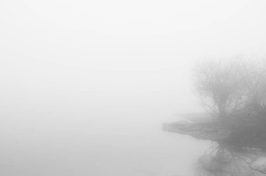 Sisli atmosfer çevreyi kaplıyor.