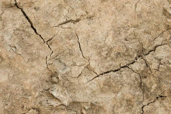 Trockene Rissige Bodenstruktur Und Hintergrund Des Bodens — Stockfoto