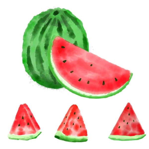 Watermelon Watercolor Paint Isolated White Background Vector — Stock Vector