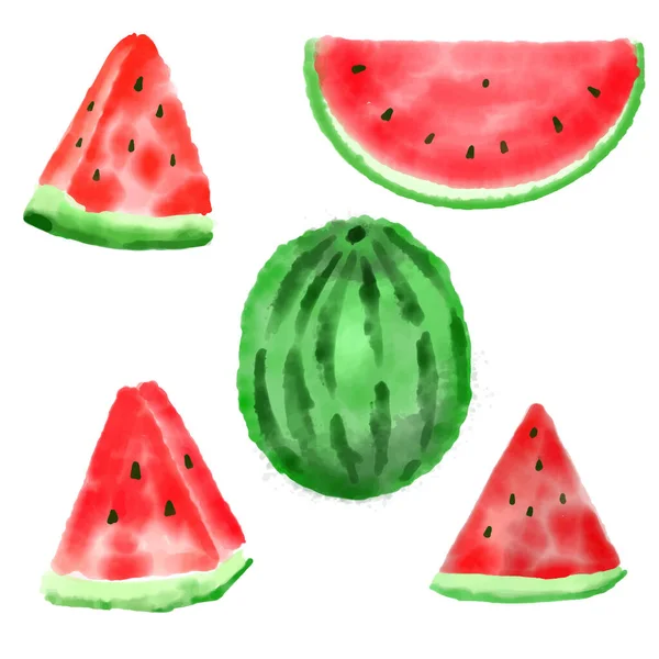 Wassermelone Aquarellfarbe Isoliert Auf Weißem Hintergrund Vektor — Stockvektor