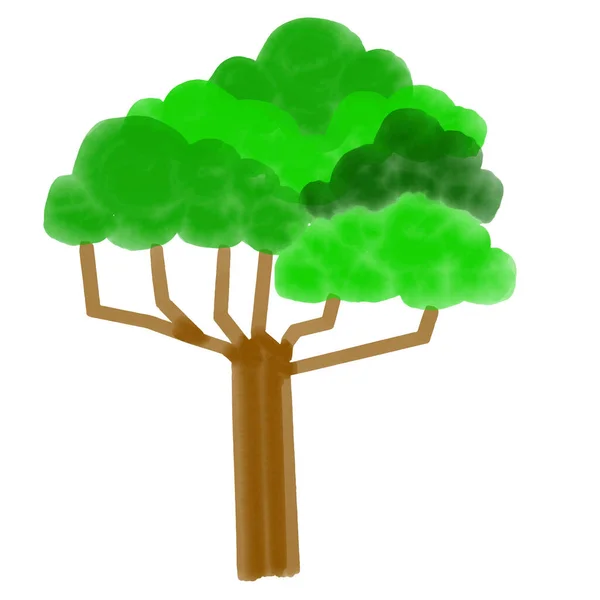 Söt Träd Akvarell Isolerad Vit Bakgrund Vektor Illustration — Stock vektor