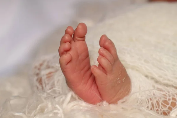 Minik, taze yeni doğmuş ayaklar ve parmaklar beyaz yün bir battaniye.