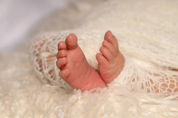 Yeni doğmuş bir bebeğin küçük ayağı. Beyaz yün bir battaniyenin içinde yeni doğmuş bir bebeğin yumuşak ayakları. Yeni doğmuş bir bebeğin ayak parmaklarını, topuklarını ve ayaklarını kapat..